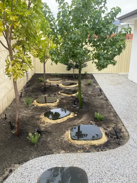 Beyond Reticulation