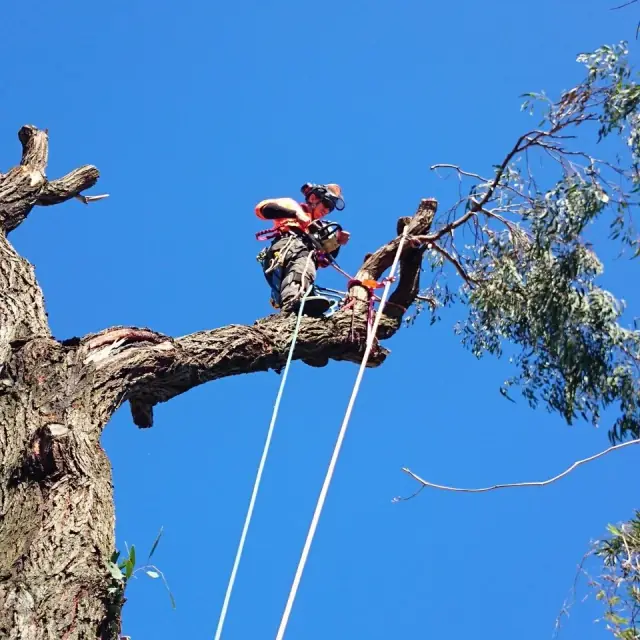 Eco Land Management Solutions ELMS
