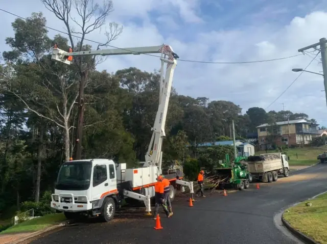 Asset Arbor Tree Services Eurobodalla