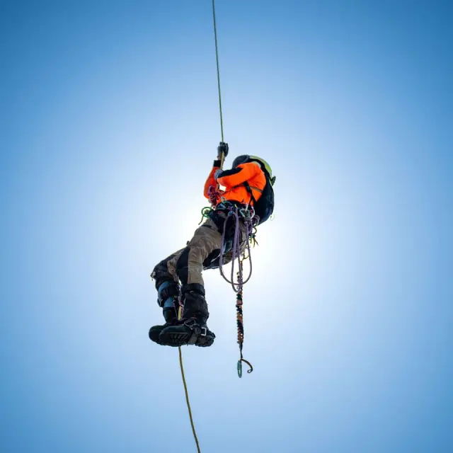 Ashgrove Tree Services