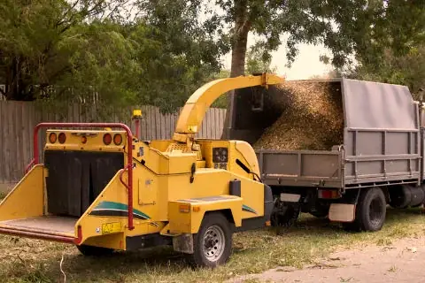 Tree Removal Adelaide