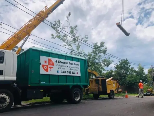 4 Seasons Tree Care