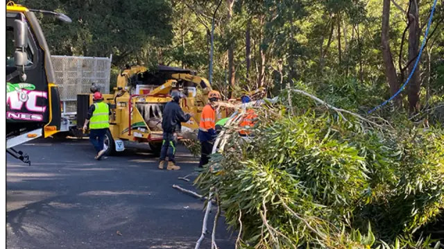 Expert Tree Removal Pty Ltd - Rouse Hill