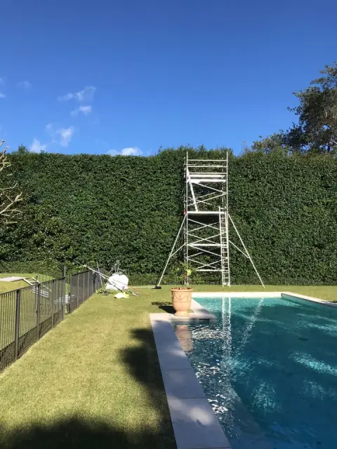 All Tree Care