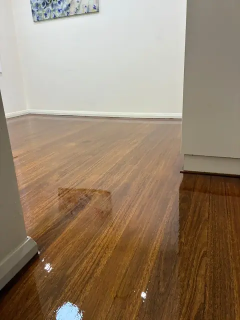 5 Star Flooring cover
