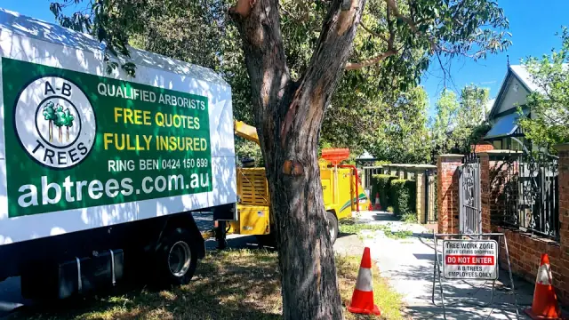 AB Trees Perth