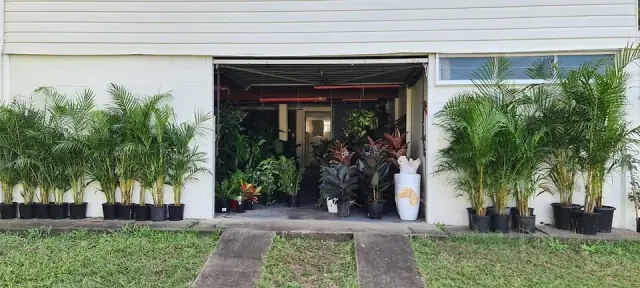The Ruby Plants - Affordable Nursery Brisbane