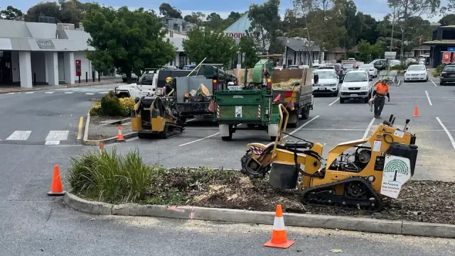 All Purpose Tree Services
