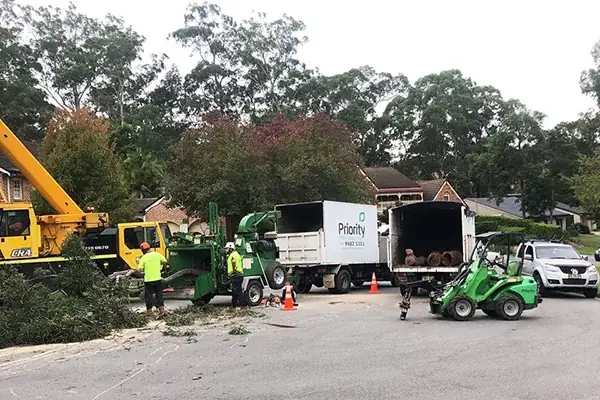 Priority Tree Services
