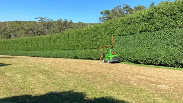 In Trim Hedge Care