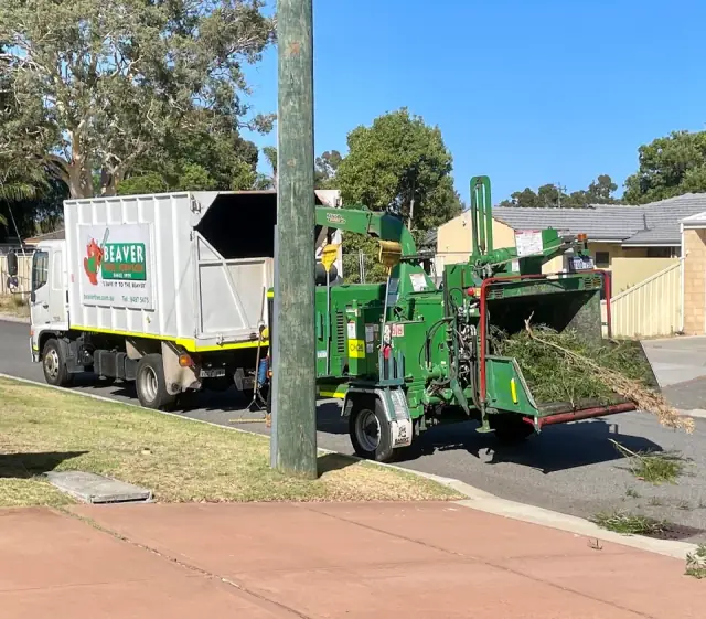 Beaver Tree Services