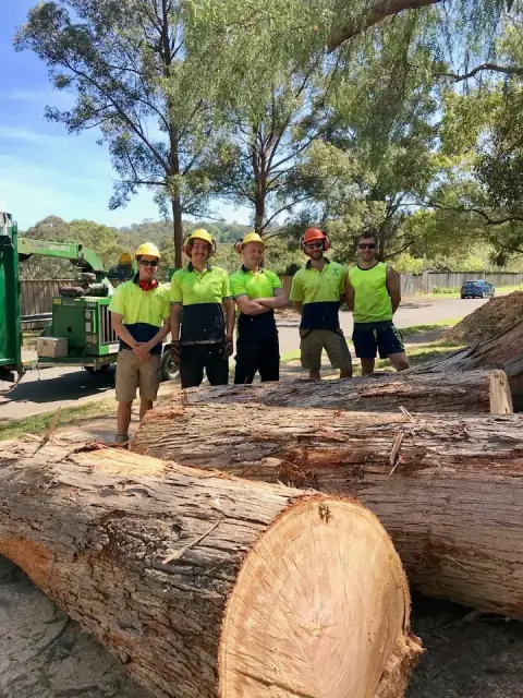 A & A Arbor Tree Service