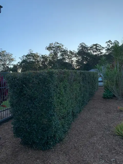 A Grade Lawn Services cover