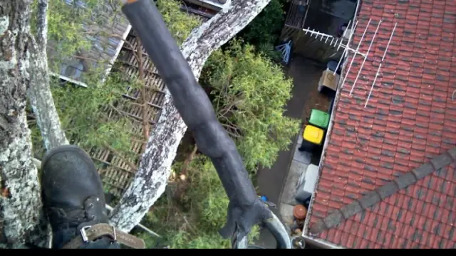 A Grade Tree Services