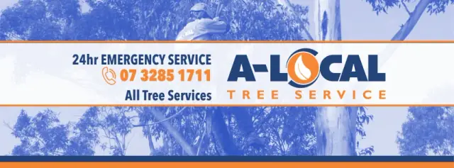 A-Local Tree Service Brisbane