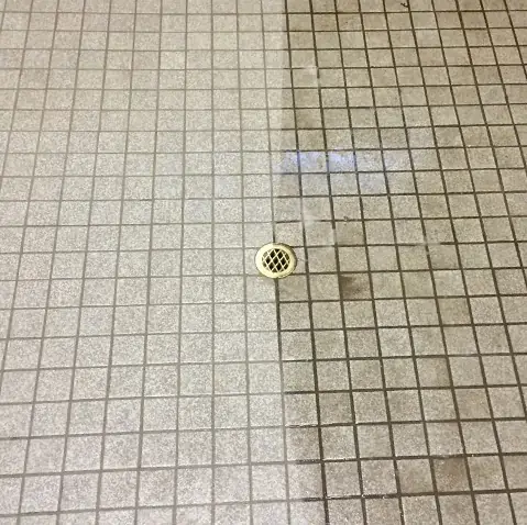 A1 Carpet, Tile and Grout Cleaning cover