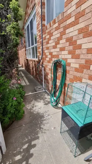 A1 Professional Pest Control cover