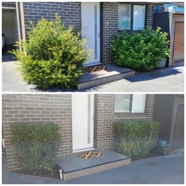 A1 STRATHMORE LAWN CARE cover