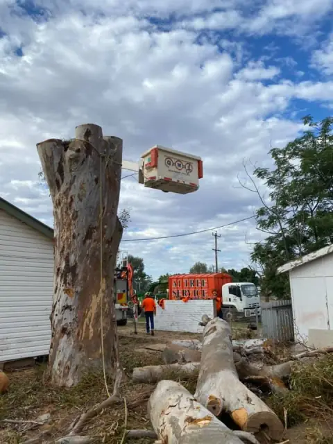 A1 Tree Services NSW