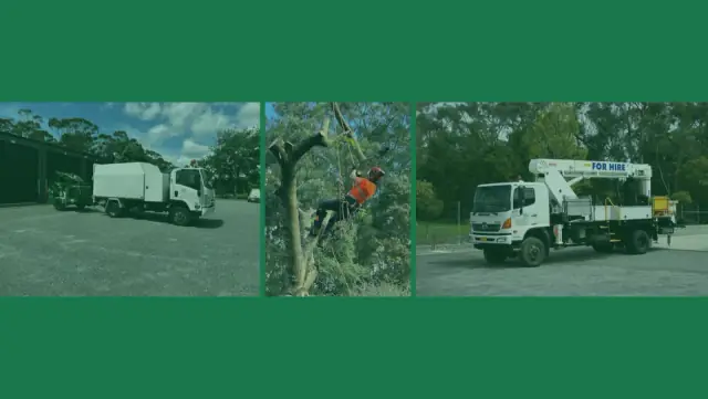 A1 Tree Specialists