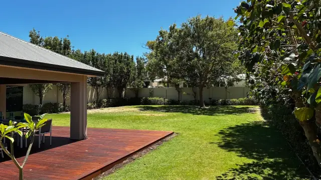 Trees WA