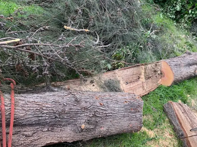 AAA AARDVARK TREE LOPPING AND GARDENING cover
