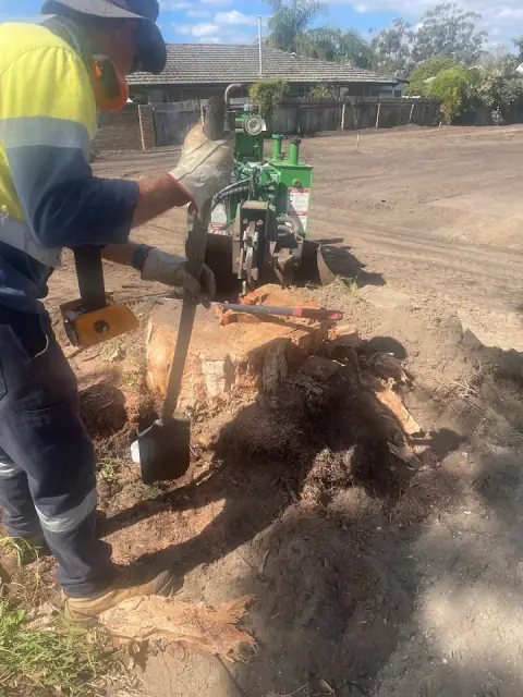 AAA Stump Grinding cover