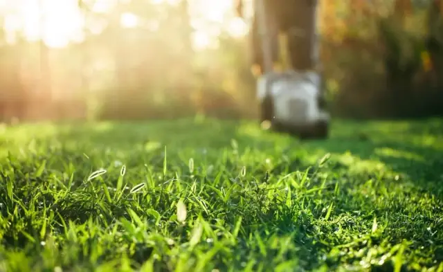 Abloom Ace Gardening Services