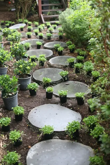 Abloom Landscapes and Property Maintenance cover