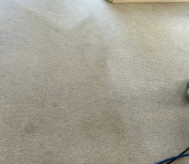 Absolute Carpet Care cover