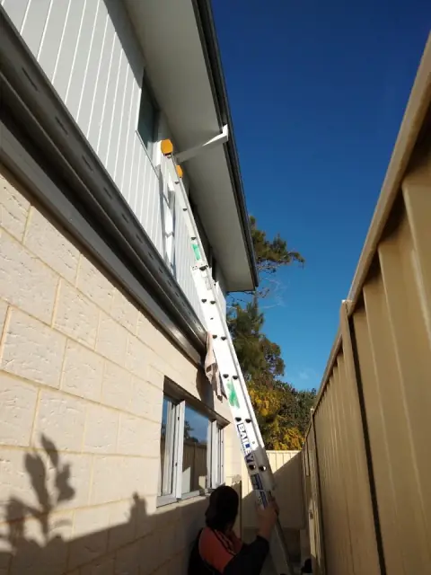 Absolute Window Cleaning cover
