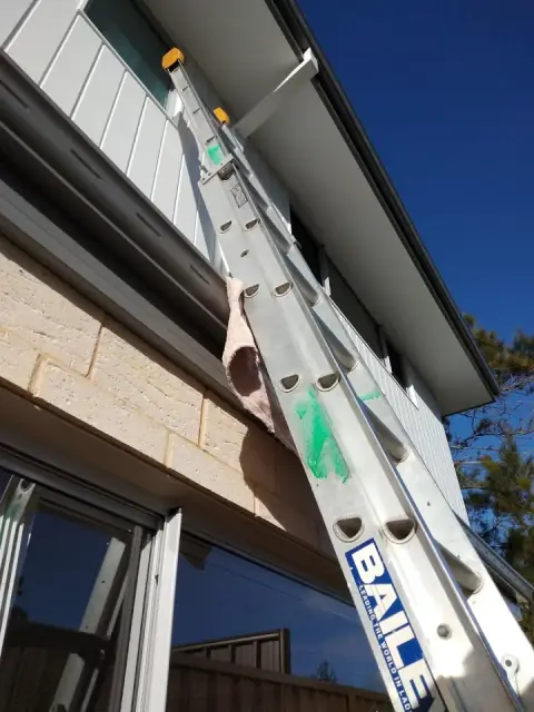 Absolute Window Cleaning cover