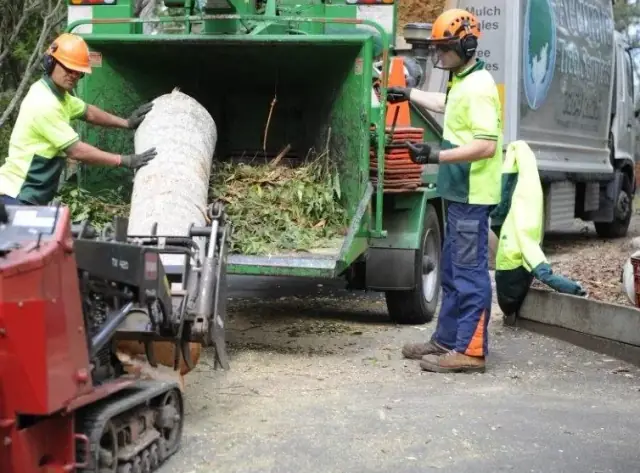 Accurate Tree Services cover