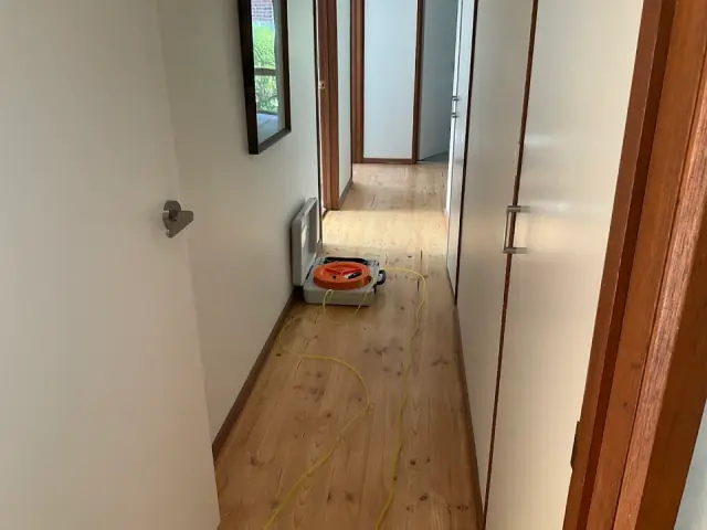 ACE Building and Pest Inspection cover