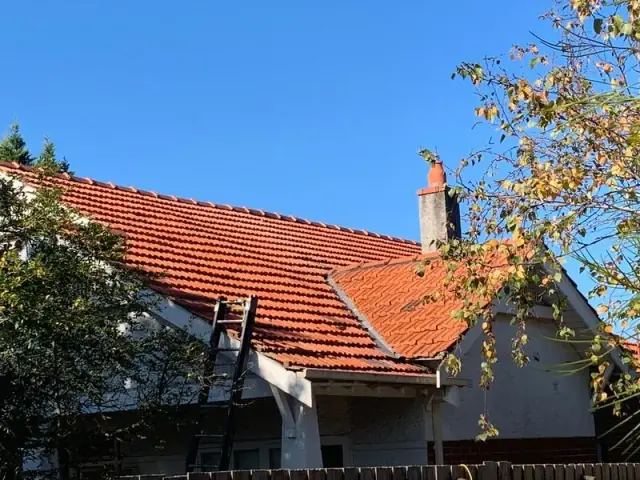 Ace Roofing Service cover