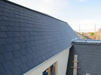 Ace Roofing Service