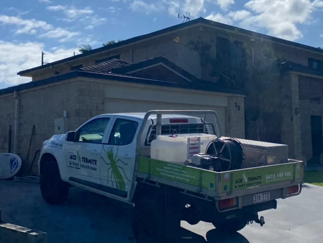 Ace Termite & Pest Solutions