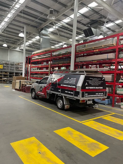 ACE Termite Solutions