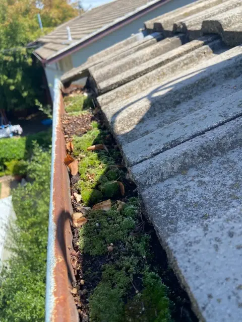 ACT Gutter Cleaning cover