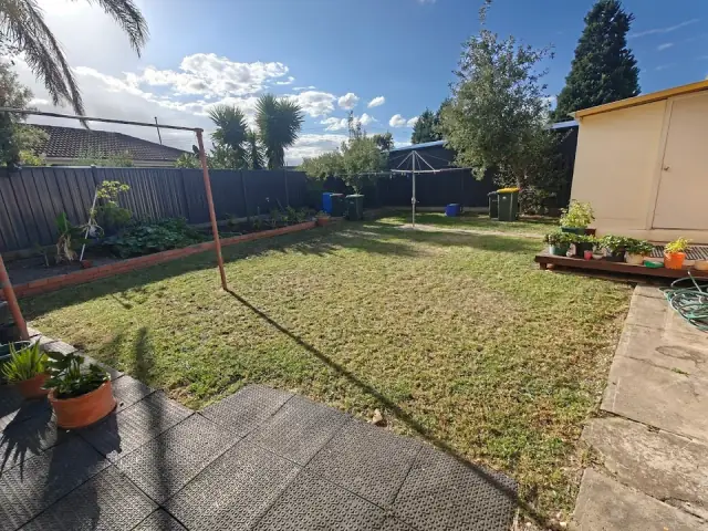 Action Garden & Maintenance