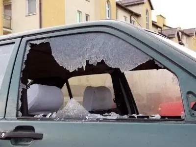 Action Mobile Windscreens cover