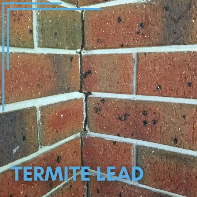 Active Termite Solutions cover
