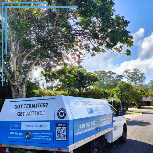 Active Termite Solutions