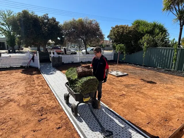 Adam Michael Landscapes cover