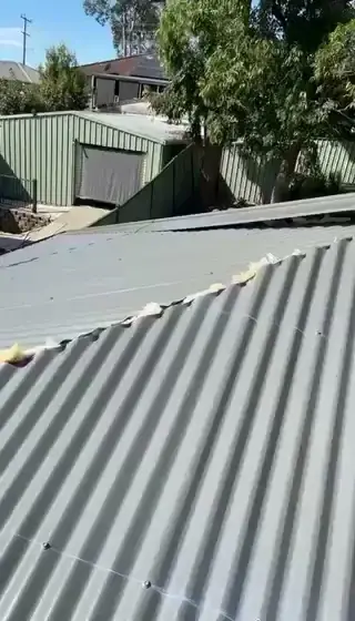Adapt Roofing cover