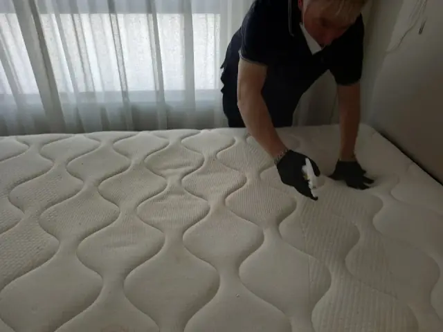 Adelaide Carpet & Upholstery Cleaning cover
