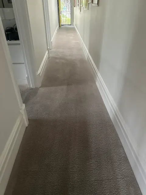 Adelaide Cleaneasy - Carpet Cleaning Adelaide