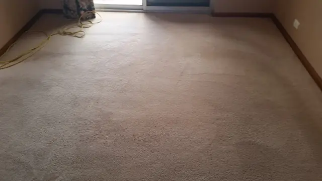 Adelaide Cleaneasy - Carpet Cleaning Adelaide cover