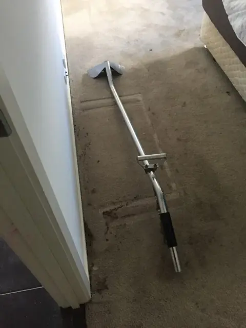 Adelaide & Hills Carpet Cleaning cover