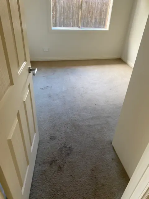 Adelaide & Hills Carpet Cleaning